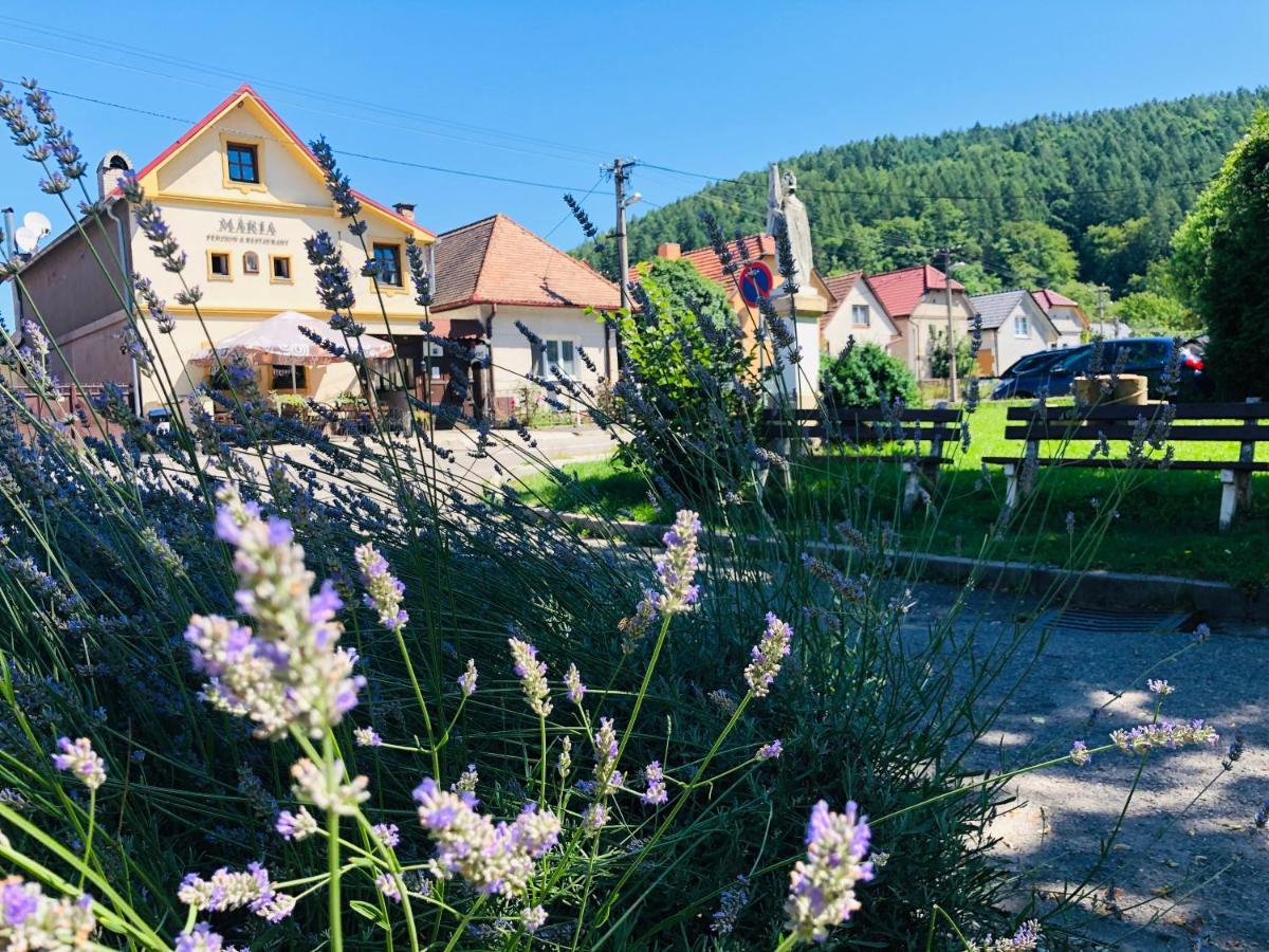 Trenčín Maria Penzion & Restaurant מראה חיצוני תמונה