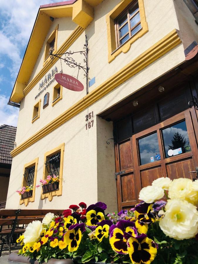 Trenčín Maria Penzion & Restaurant מראה חיצוני תמונה